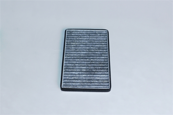 Activated Carbon Cabin Air Filter (1035125-00-A)