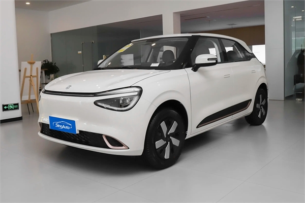 2024 Dongfeng Motor