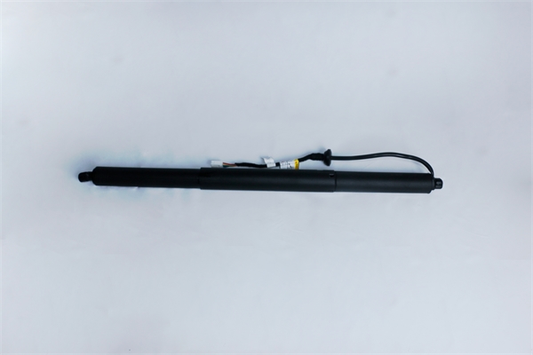 Tailgate Power Support Strut (1500601-00-A)
