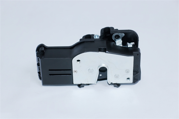 Rear Door Latch Assembly (6008914-99-D)