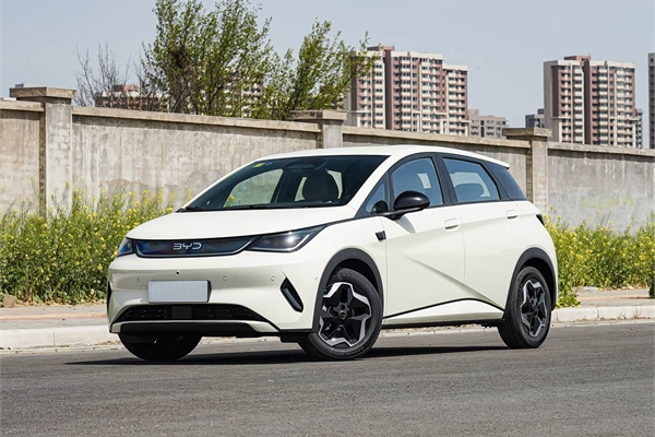 2025 BYD dolphin