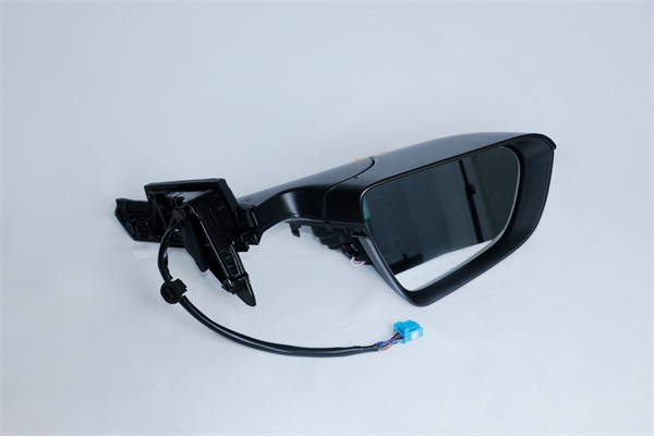 Side Mirror Assembly LH (1617899-00-B)