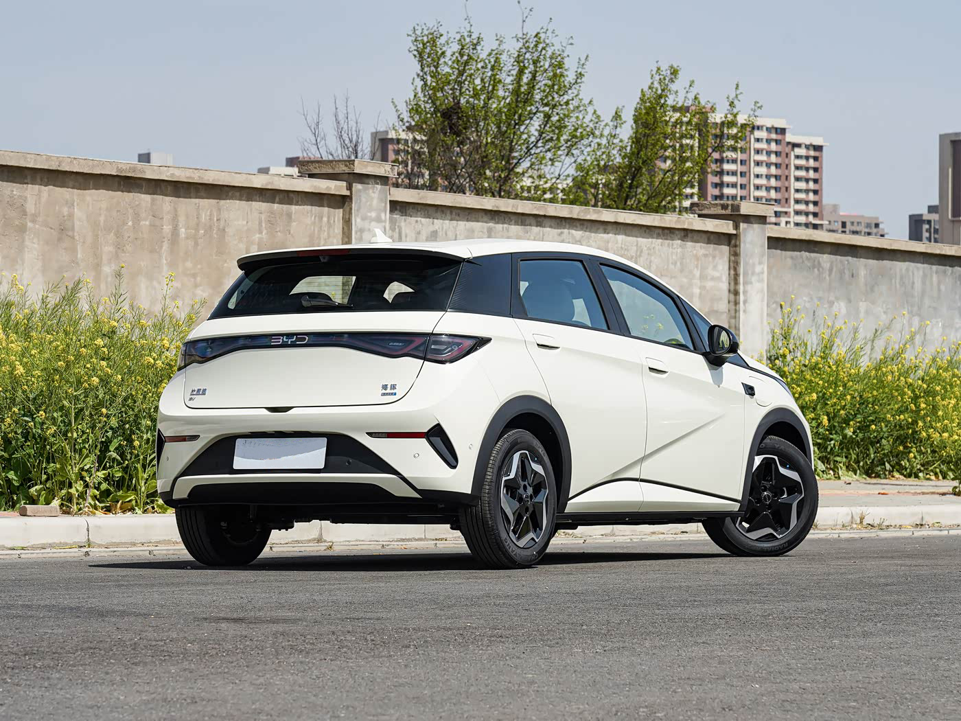 2025 BYD dolphin