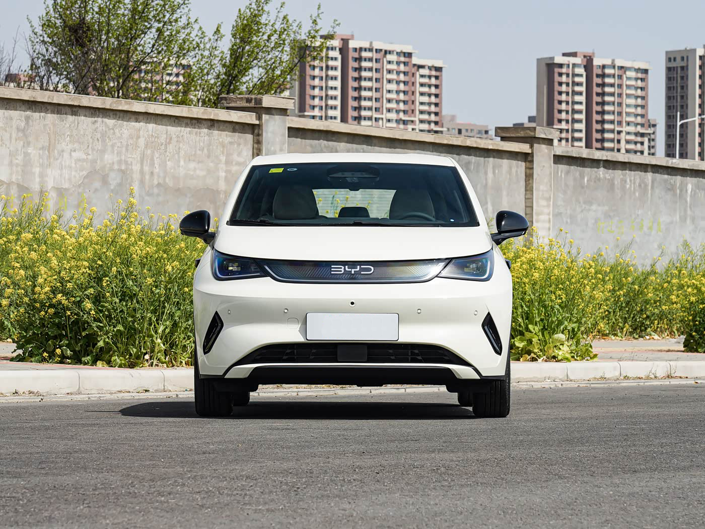2025 BYD dolphin