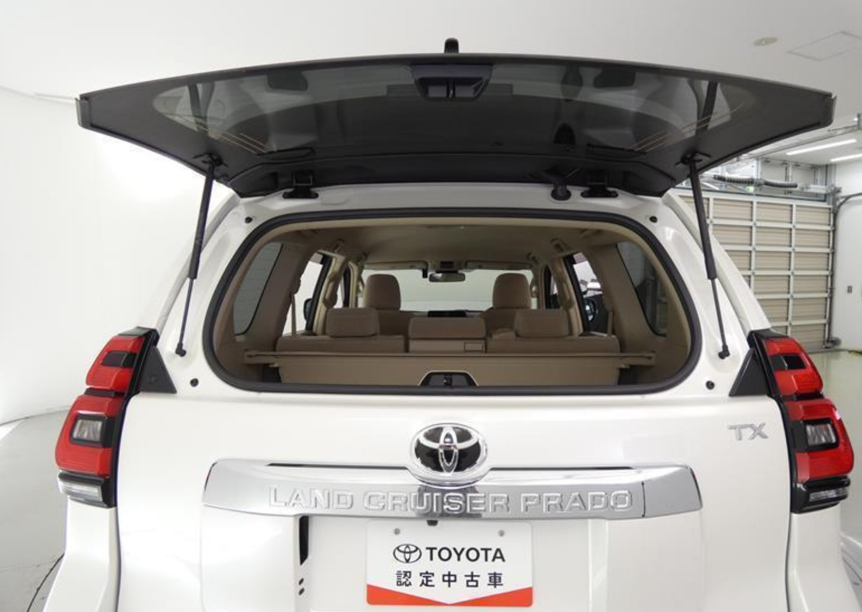 2019 TOYOTA Land Cruiser Prado TX