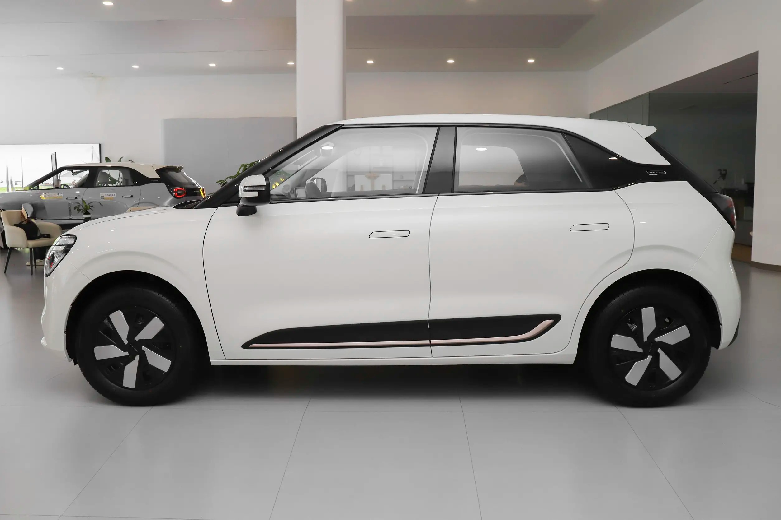2024 Dongfeng Motor