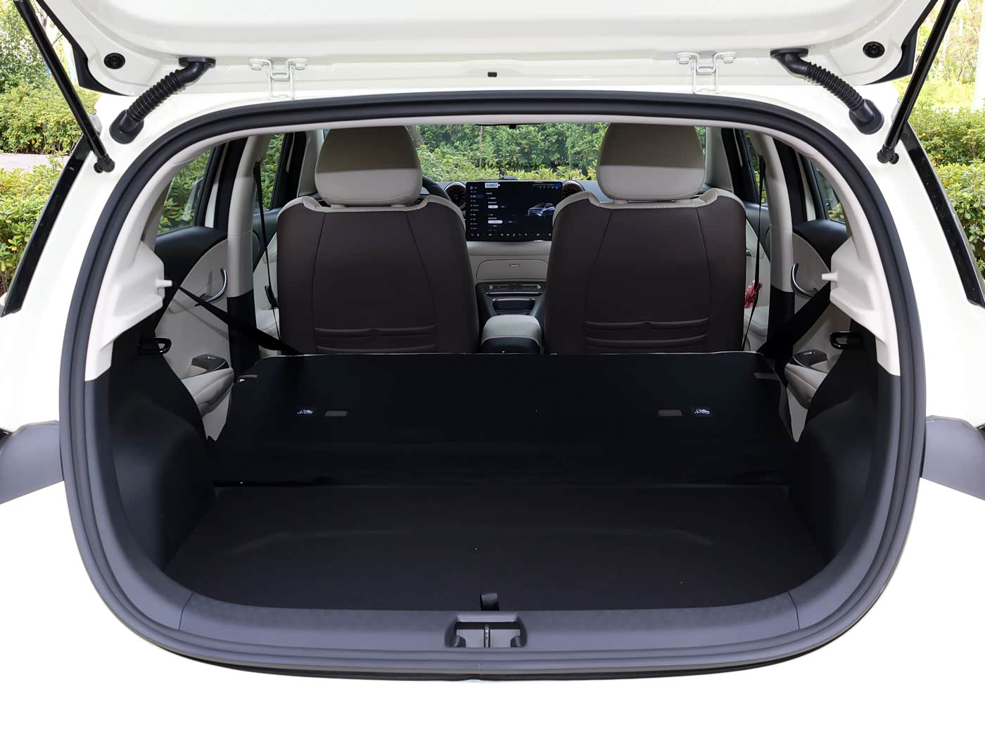 2025 BYD dolphin