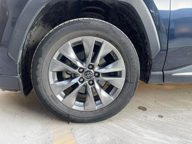 2021 TOYOTA Wildlander