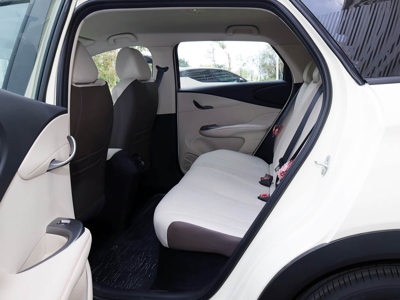 2025 BYD dolphin