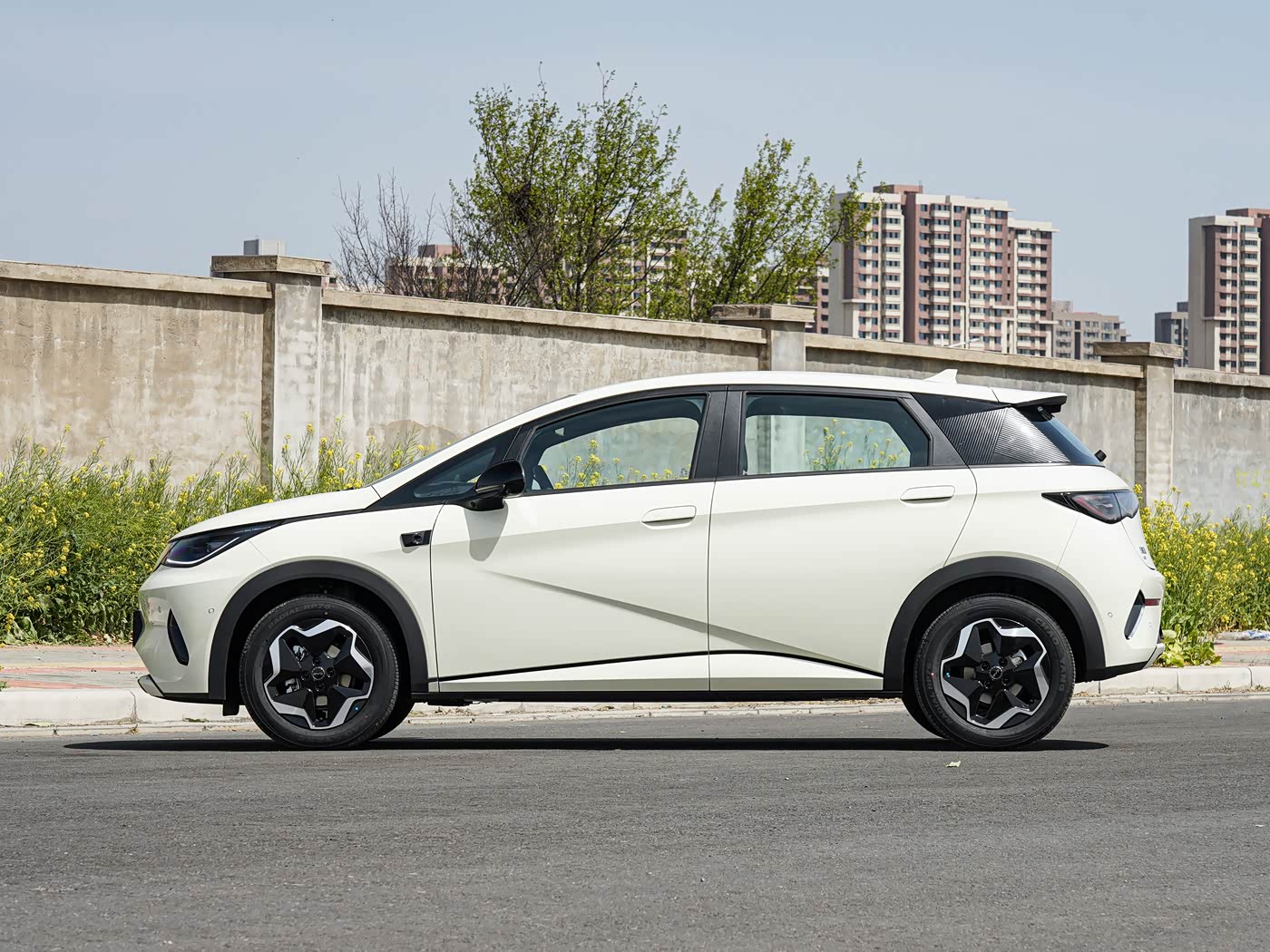 2025 BYD dolphin