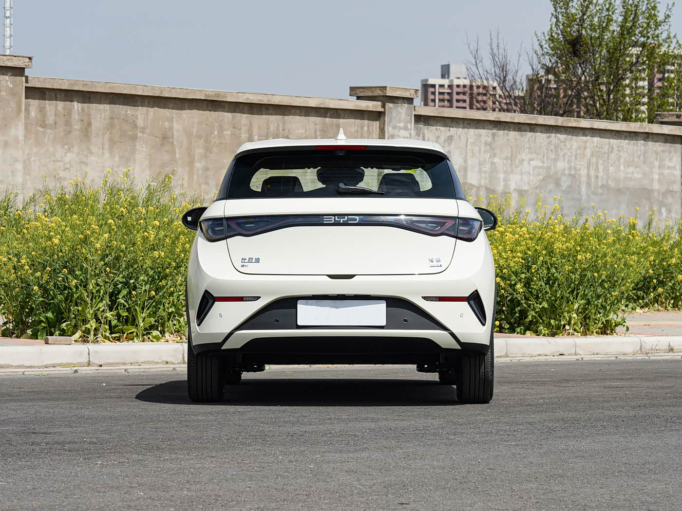 2025 BYD dolphin