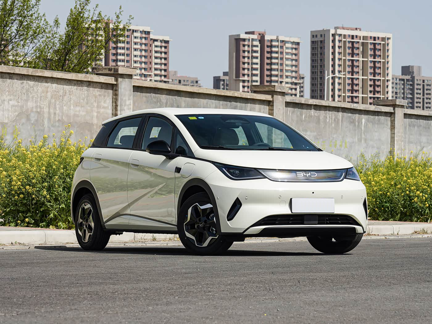 2025 BYD dolphin