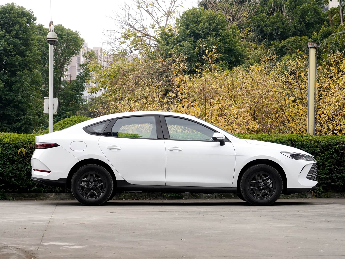 2026 BYD Qin PLUS
