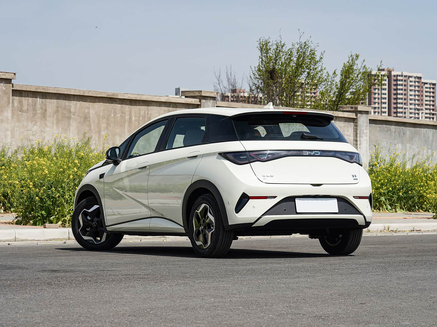 2025 BYD dolphin