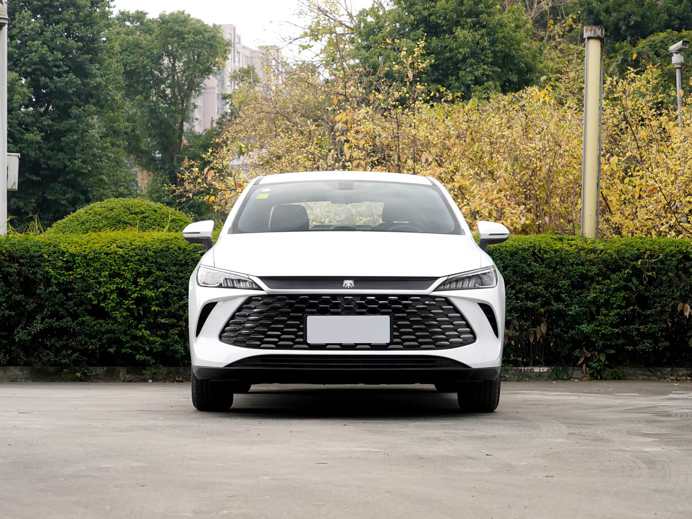 2026 BYD Qin PLUS