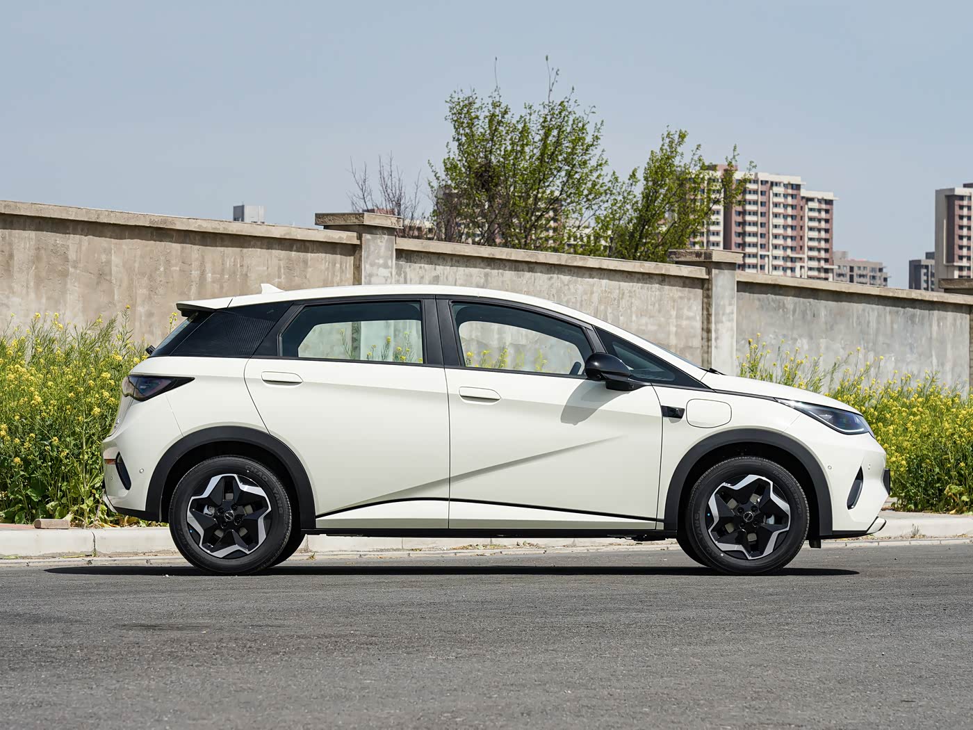 2025 BYD dolphin