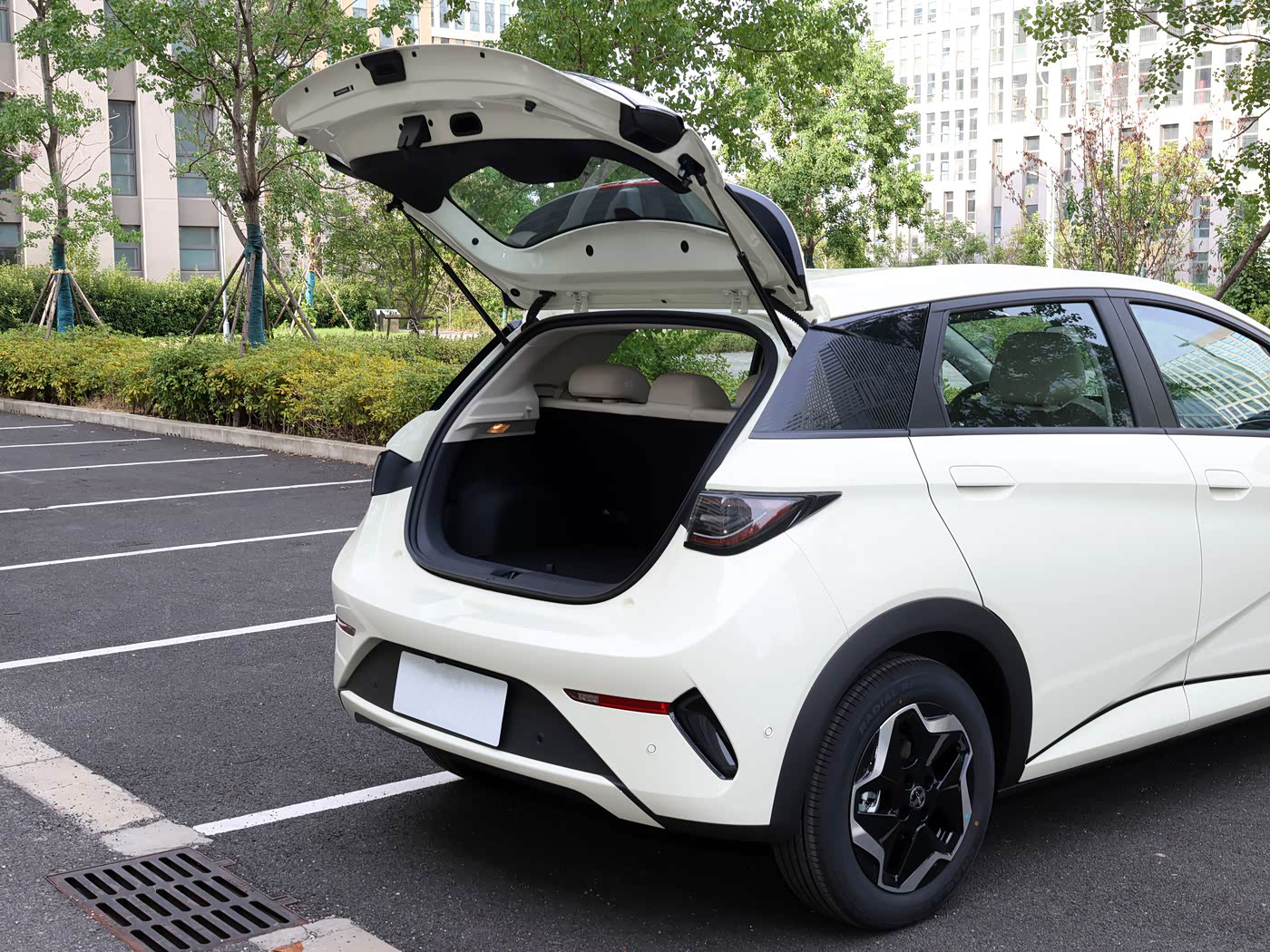 2025 BYD dolphin