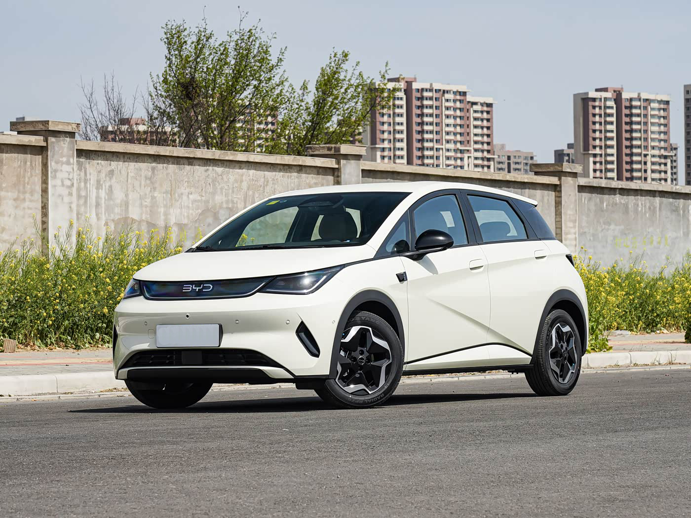 2025 BYD dolphin