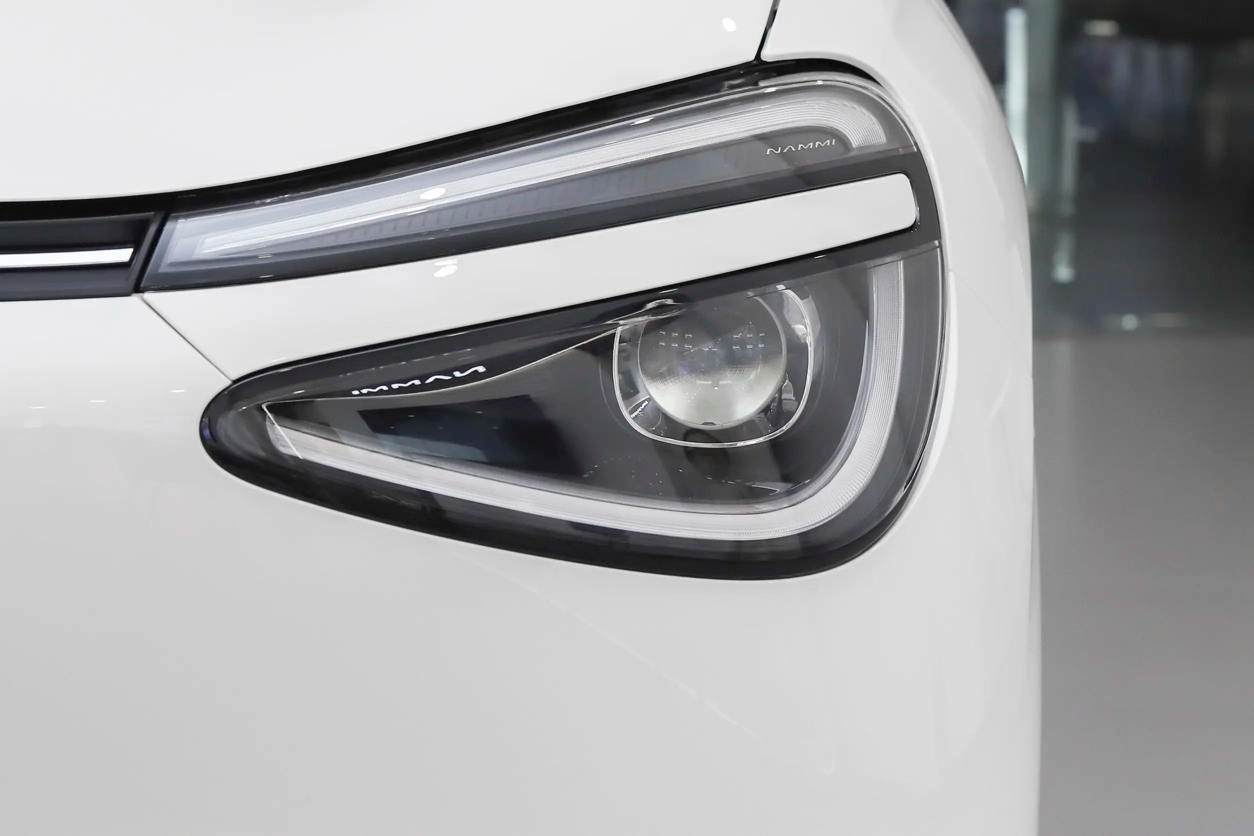 2024 Dongfeng Motor