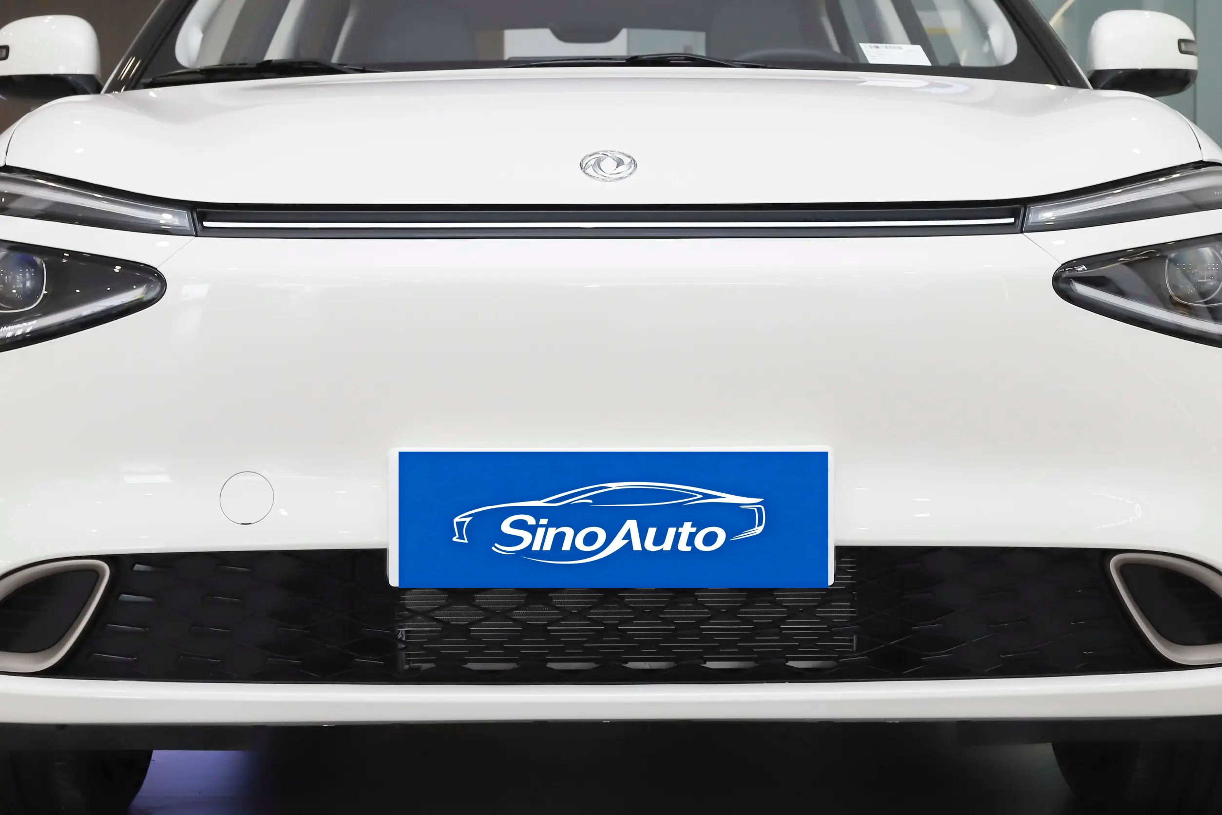 2024 Dongfeng Motor