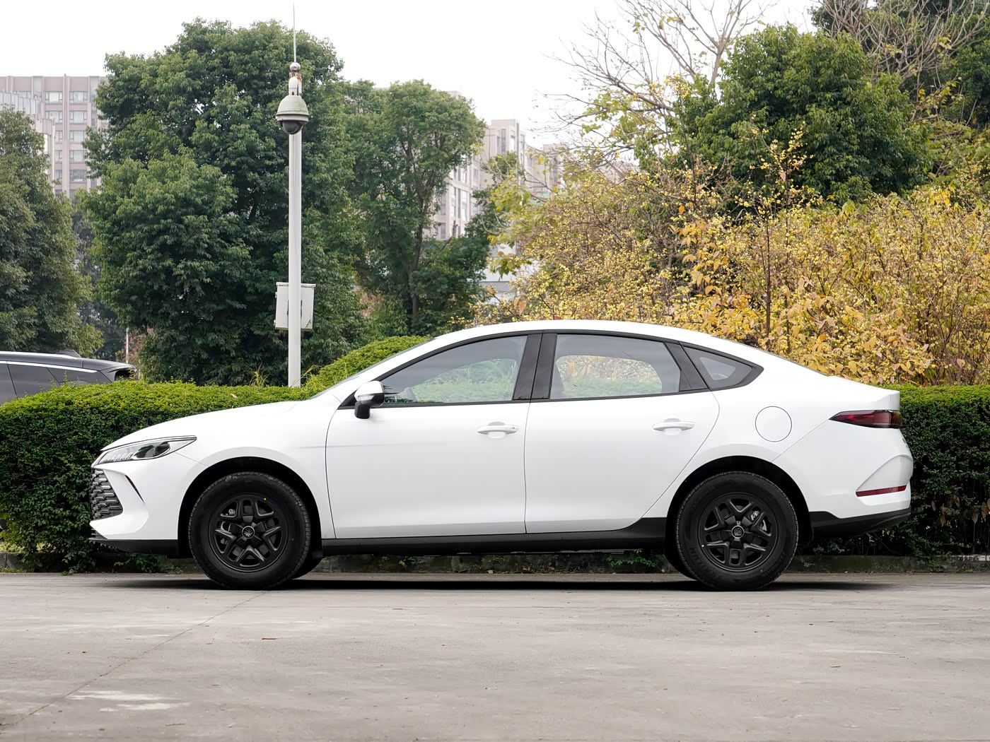 2026 BYD Qin PLUS