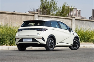 2025 BYD dolphin