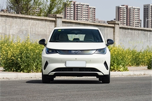 2025 BYD dolphin