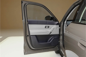 2026 LeapMotor A10