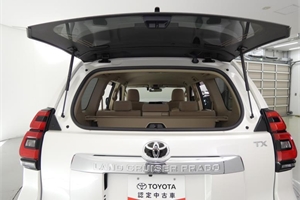 2019 TOYOTA Land Cruiser Prado TX