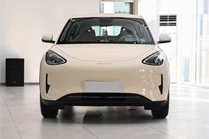 2026 GEELY Xingyuan