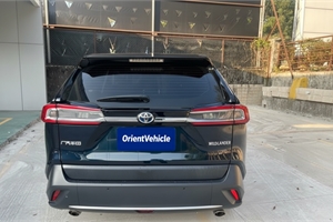 2021 TOYOTA Wildlander