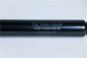 Tailgate Power Support Strut (1551489-00-B)