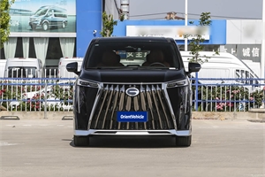 2024 GAC TRUMPCHI E9