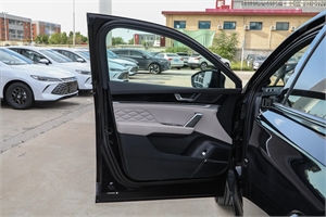 2025 BYD Tang DMi 175km