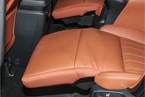 2024 GAC TRUMPCHI E9