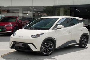 2023 BYD SEAGULL