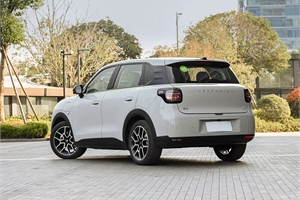 2026 LeapMotor A10