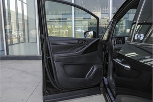 2024 GAC TRUMPCHI E9