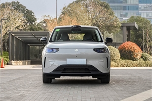 2026 LeapMotor A10