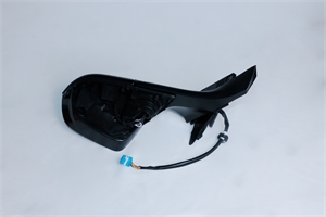 Side Mirror Assembly LH (1617899-00-B)