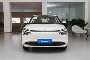 2024 Dongfeng Motor