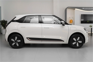 2024 Dongfeng Motor