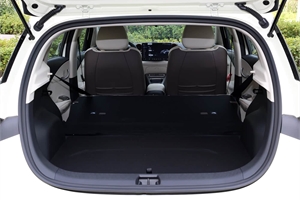 2025 BYD dolphin