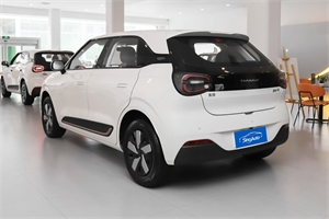 2024 Dongfeng Motor