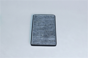 Activated Carbon Cabin Air Filter (1035125-00-A)
