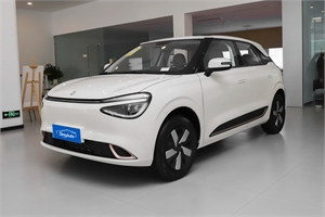 2024 Dongfeng Motor