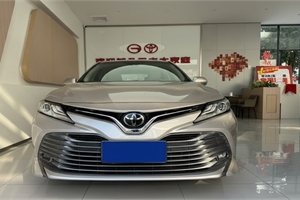 2019 TOYOTA Camry