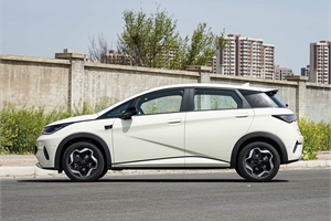 2025 BYD dolphin