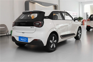 2024 Dongfeng Motor