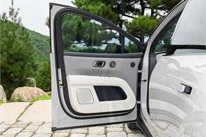 2025 Li Auto i6